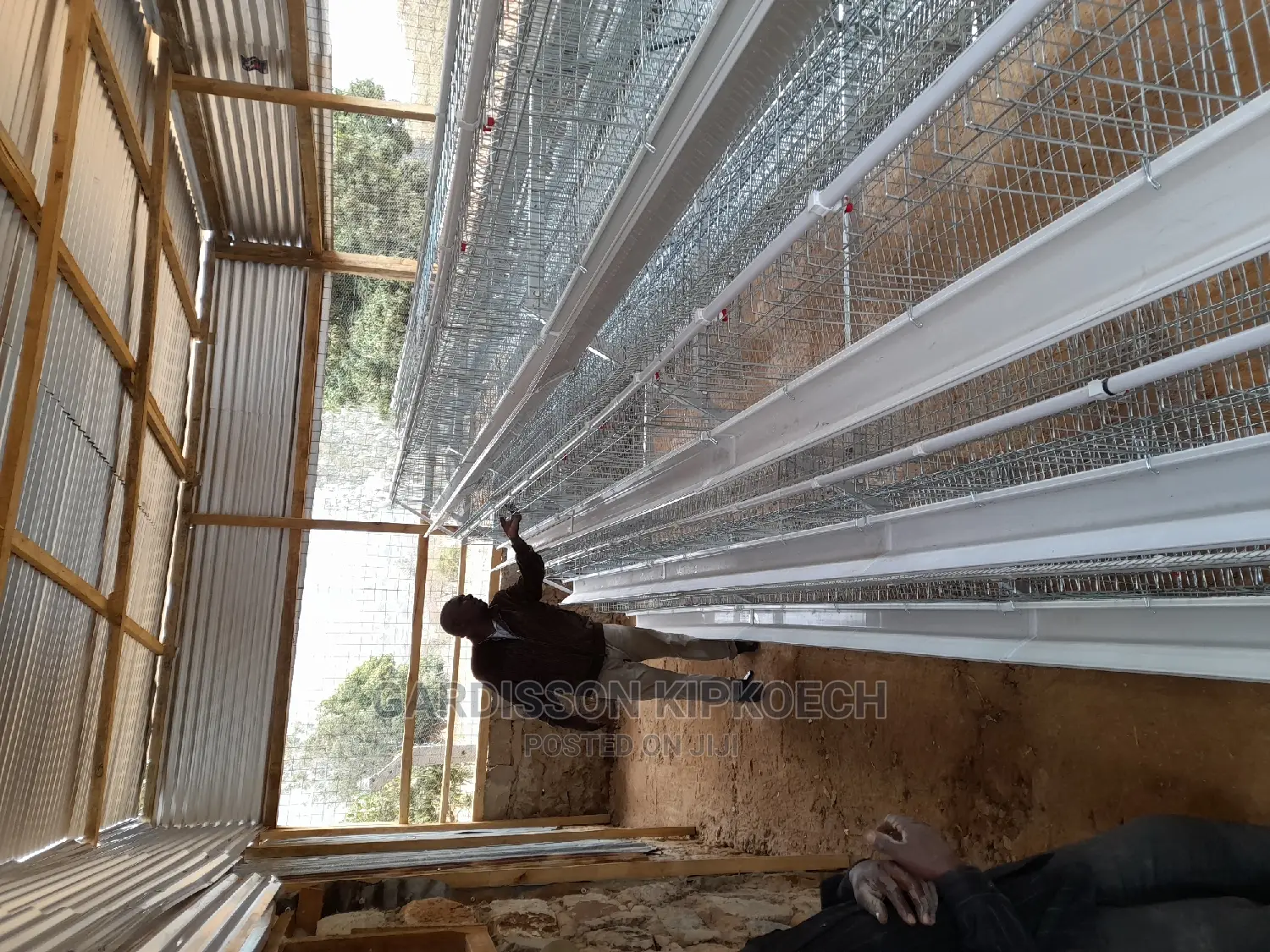 Good Chicken Cage