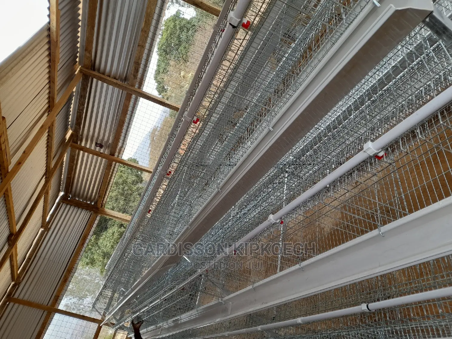 Good Chicken Cage