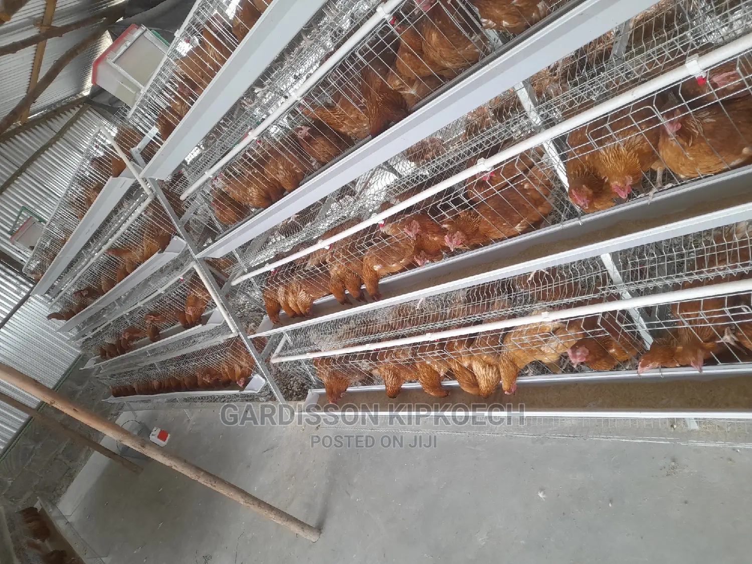 Good Chicken Cage