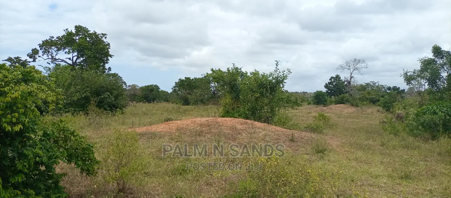 57 Acres in Lungalunga