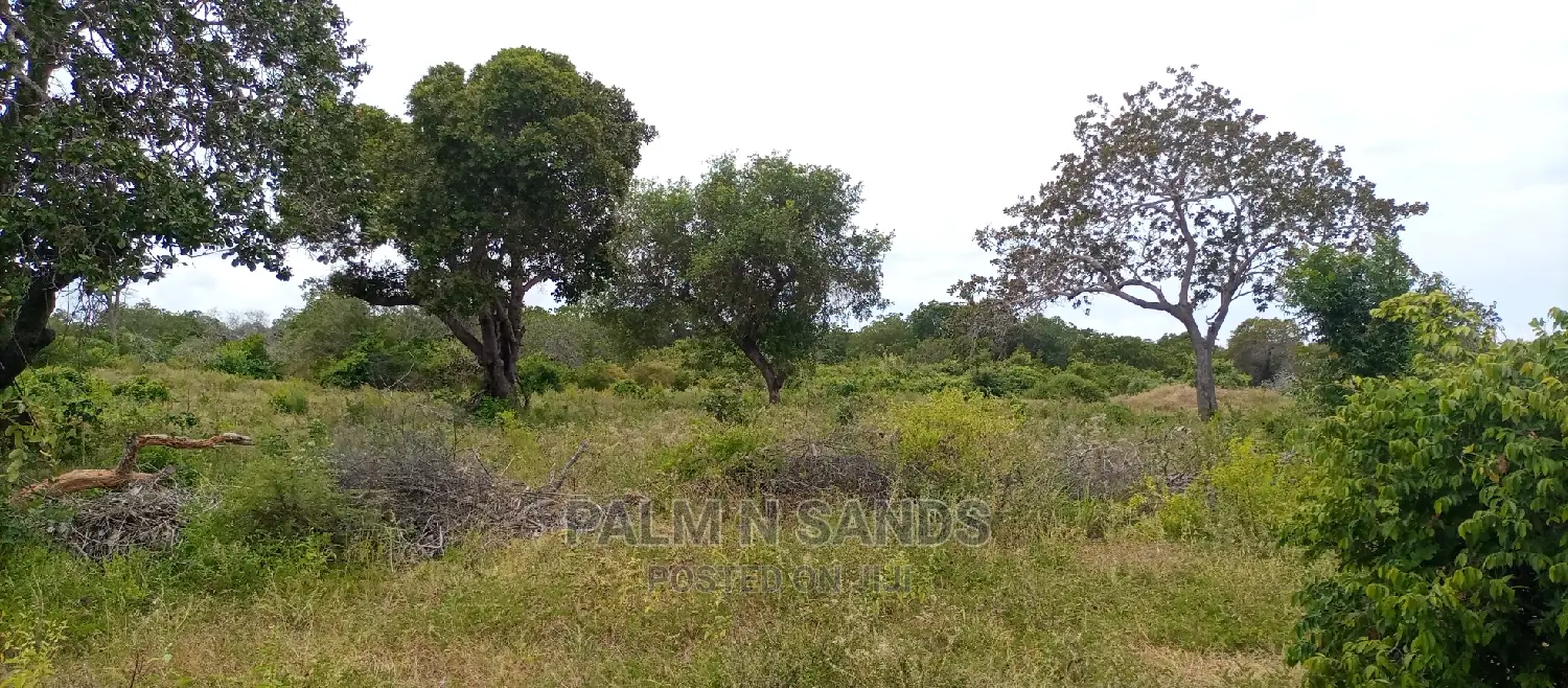 57 Acres in Lungalunga