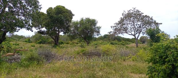 57 Acres in Lungalunga - thumbnail 2