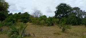 57 Acres in Lungalunga