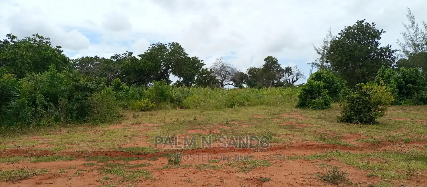 57 Acres in Lungalunga