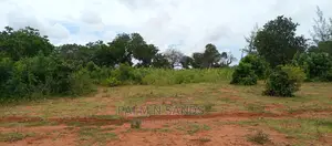 57 Acres in Lungalunga
