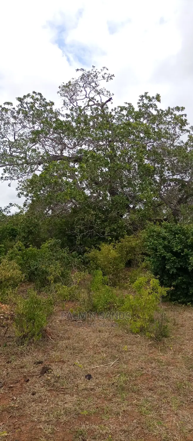 57 Acres in Lungalunga