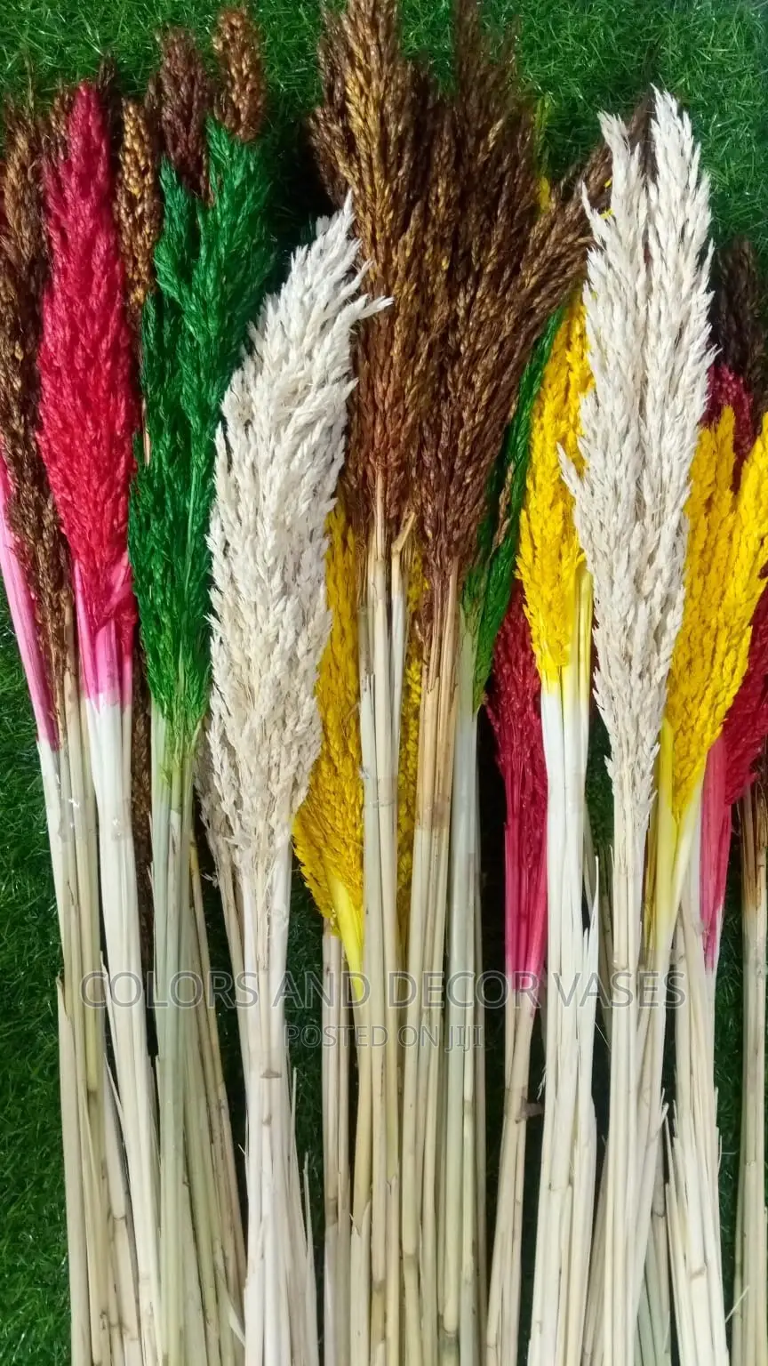 Dry Decorative Flowers