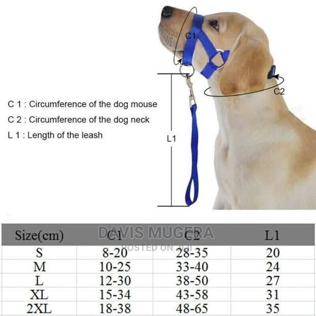 Halti Style Dog Head Collar Leash, No Pull Training, Light - thumbnail 4