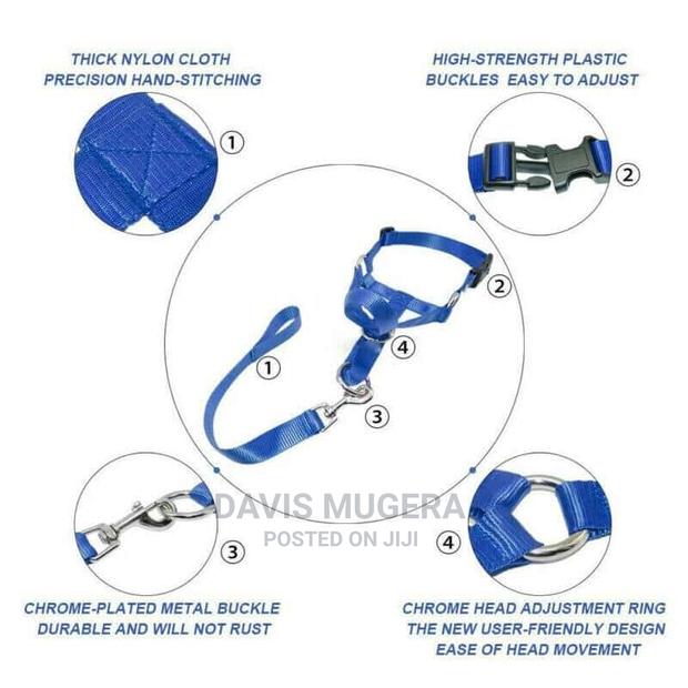 Halti Style Dog Head Collar Leash, No Pull Training, Light - thumbnail 3