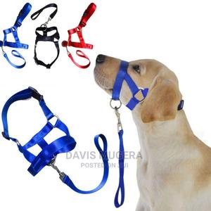 Halti Style Dog Head Collar Leash, No Pull Training, Light - thumbnail 2