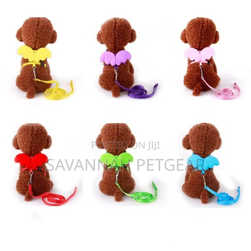 Angel Wings Pet Harness Leash for Cats, Dogs Rabbits