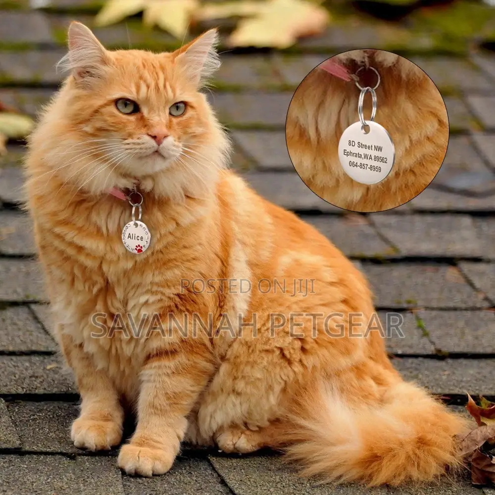 Personalised Crystal Luxury Pet ID Name Tag