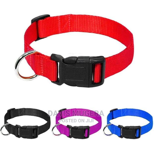 Quick Snap Buckle Light Dog Collar - thumbnail 3