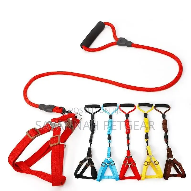 Polyester Step in Back Clip Dog Harness Wth Padded Dog Leash
