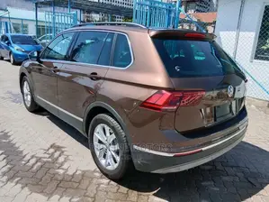 Volkswagen Tiguan 2017 Brown