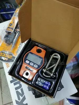 300kg Digital Crain Scale for Weighing