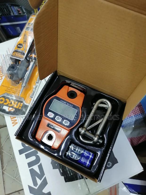 300kg Digital Crain Scale for Weighing