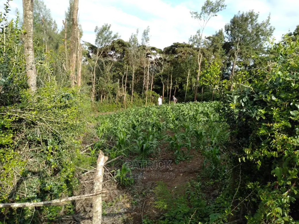 Ngong Muthaiga 1/4 Acre, Electricity Water on Site