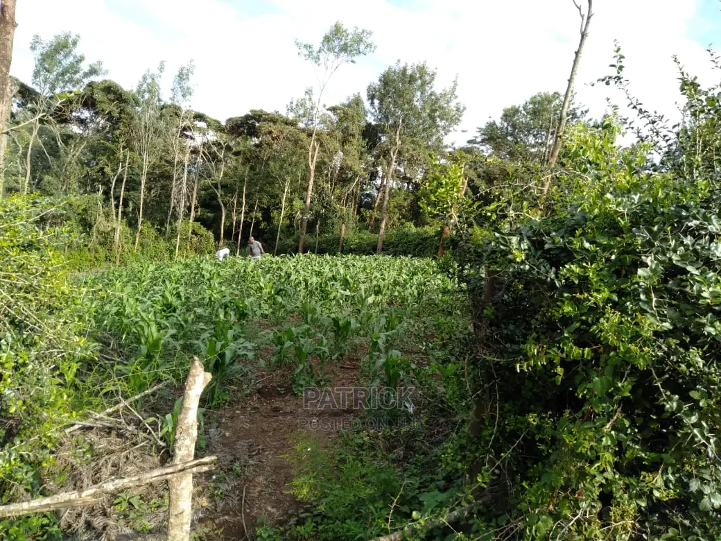 Ngong Muthaiga 1/4 Acre, Electricity Water on Site