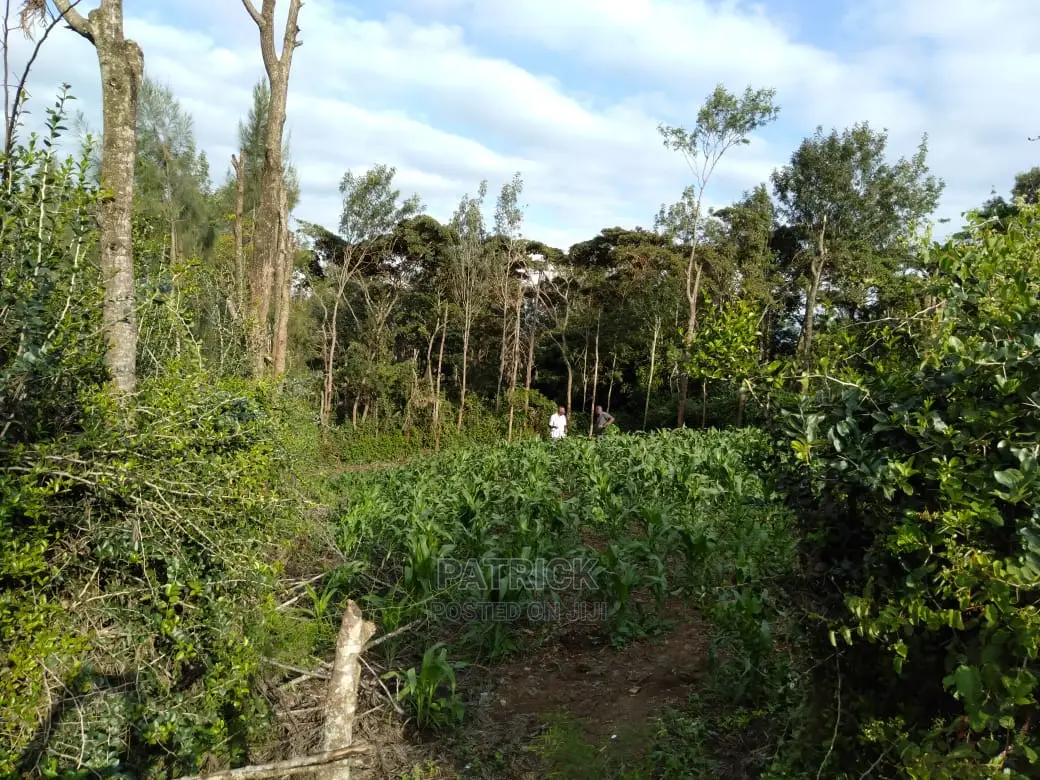 Ngong Muthaiga 1/4 Acre, Electricity Water on Site