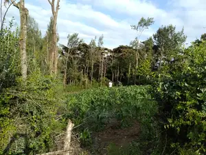 Ngong Muthaiga 1/4 Acre, Electricity Water on Site