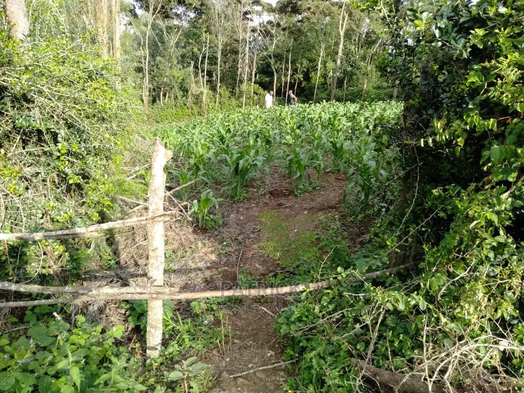 Ngong Muthaiga 1/4 Acre, Electricity Water on Site