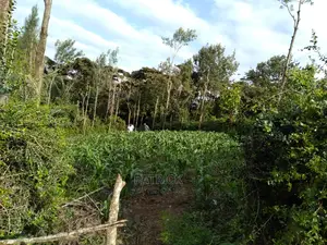 Ngong Muthaiga 1/4 Acre, Electricity Water on Site