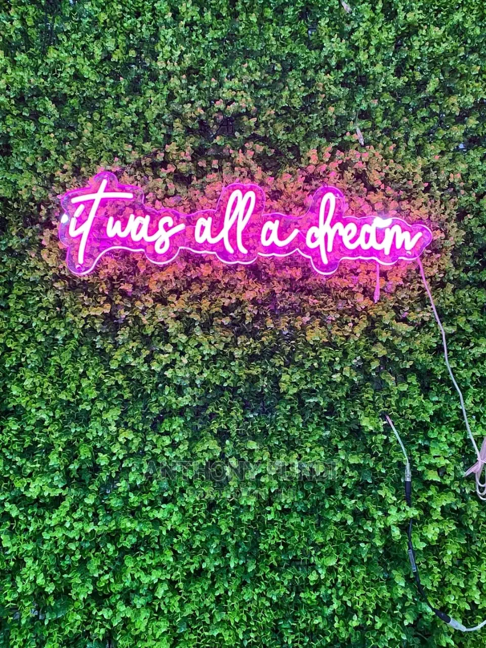 Neon Lights
