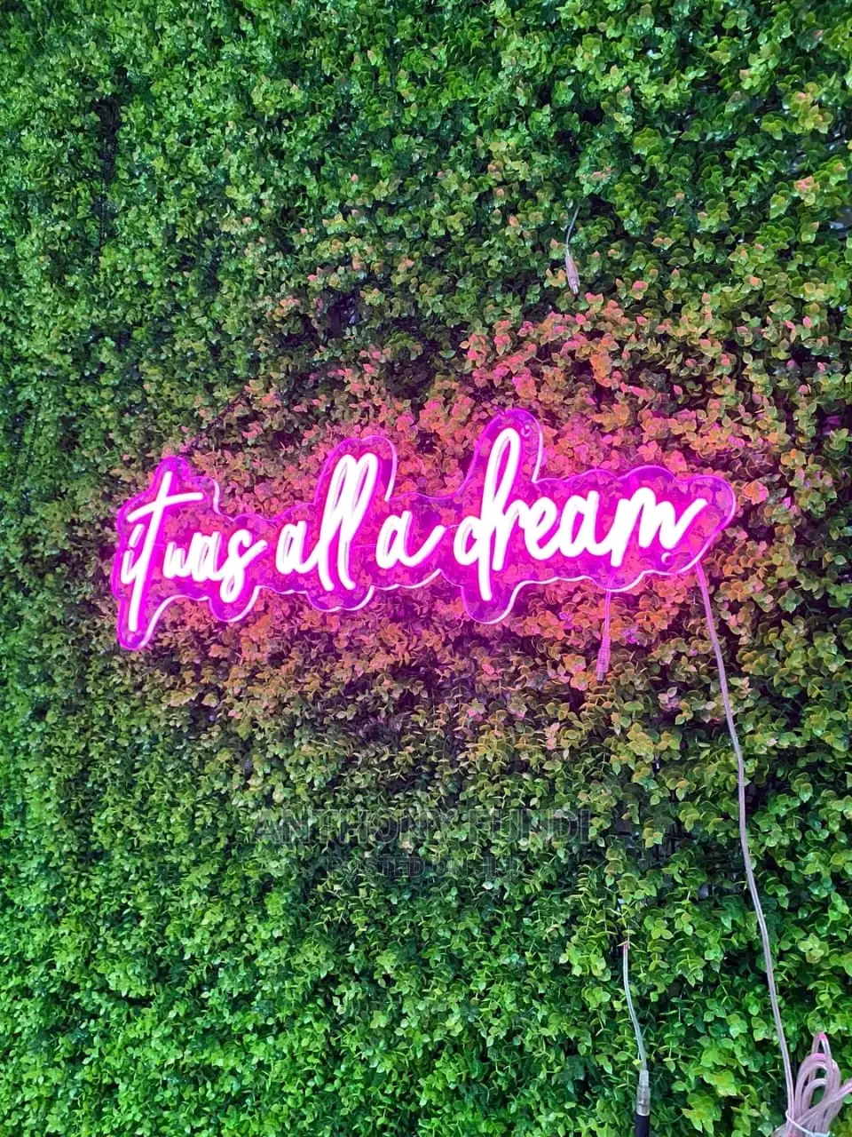 Neon Lights