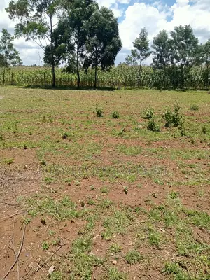 Several 1/8 and 1/4 Plots Annex Chemazone.