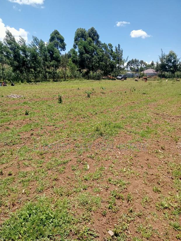 Several 1/8 and 1/4 Plots Annex Chemazone. - thumbnail 2