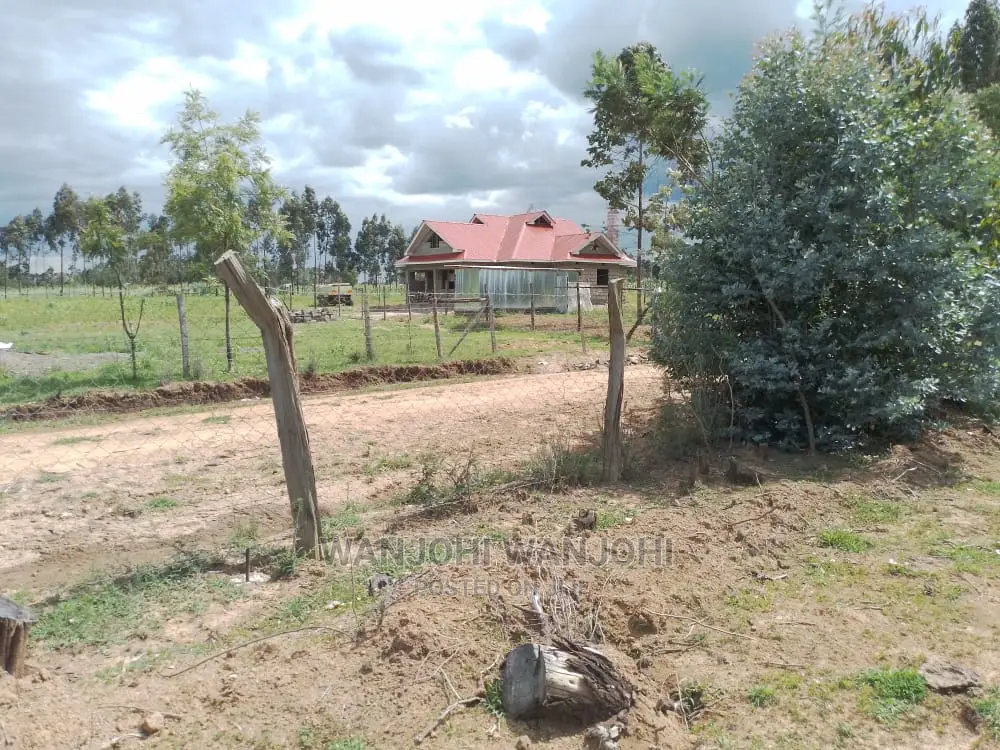 Prime Plots With Proximity to Tarmac