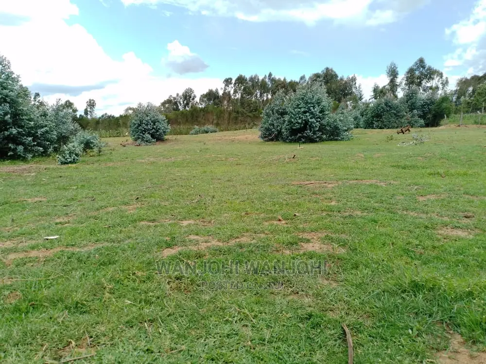 Prime Plots With Proximity to Tarmac