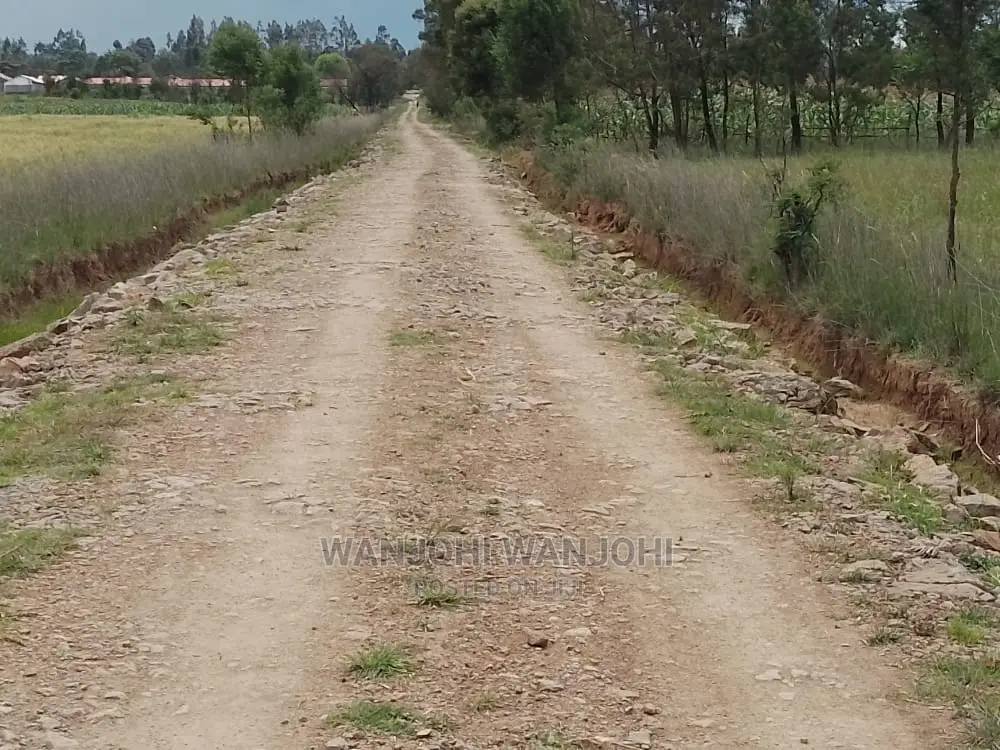 Prime Plots With Proximity to Tarmac