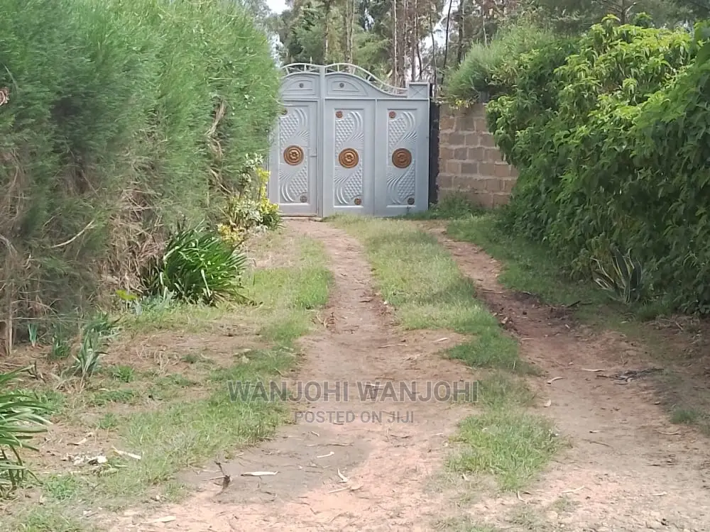 Very Prime Plots in Kasuku