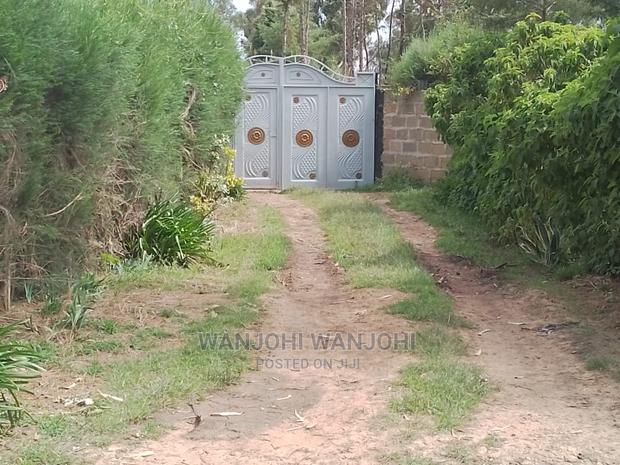 Very Prime Plots in Kasuku - main view