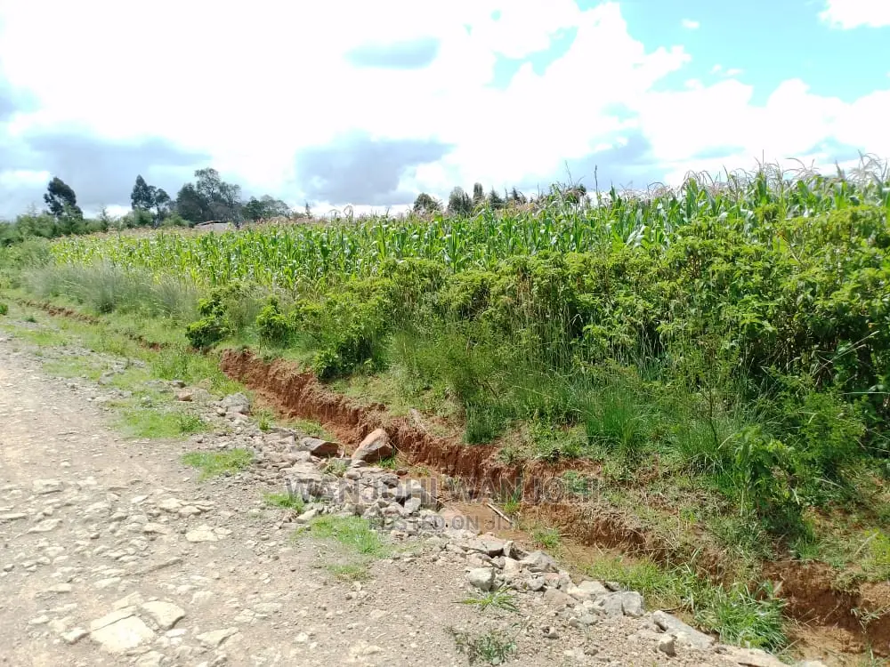 Very Prime Plots in Kasuku