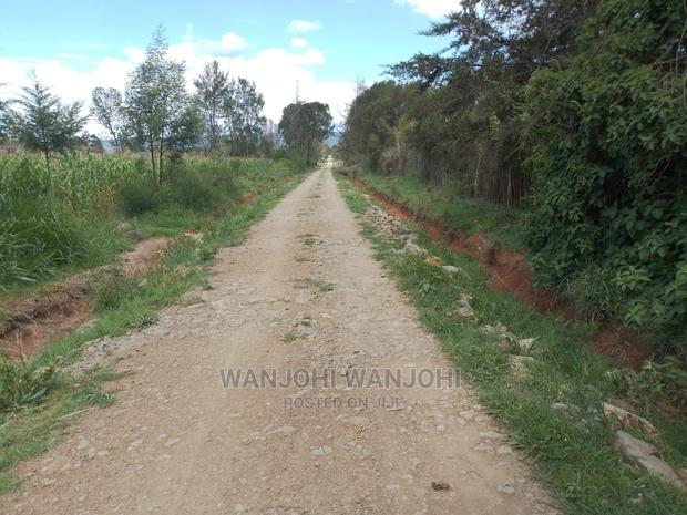 Very Prime Plots in Kasuku - thumbnail 4