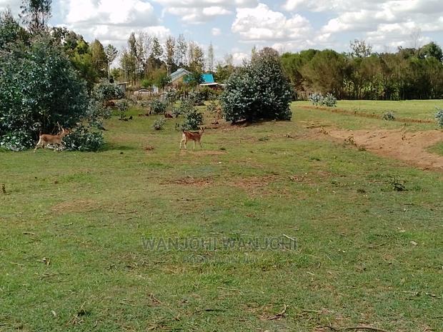 Very Prime Plots in Kasuku - thumbnail 5