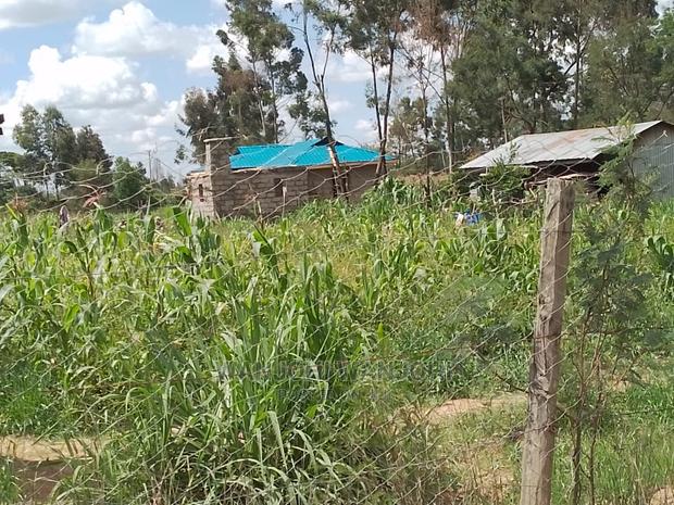 Very Prime Plots in Kasuku - thumbnail 6