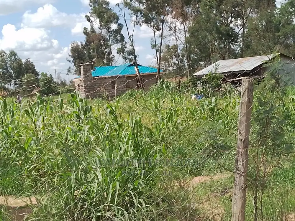 Very Prime Plots in Kasuku