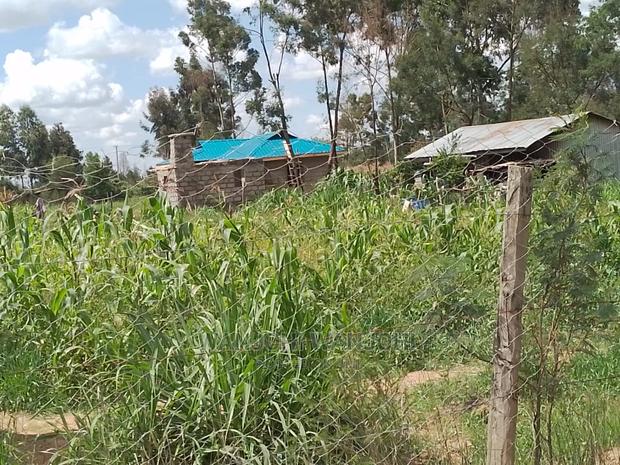 Very Prime Plots in Kasuku - thumbnail 8