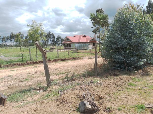 Very Prime Plots in Kasuku - thumbnail 9