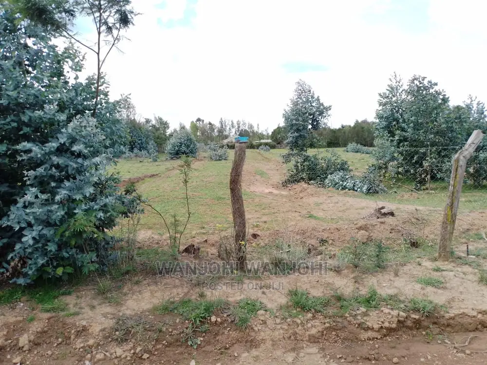 Very Prime Plots in Kasuku