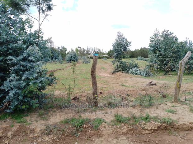 Very Prime Plots in Kasuku - thumbnail 10