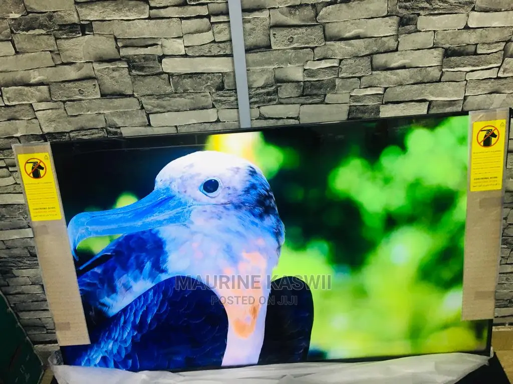 Synix 50 Inch Frameless