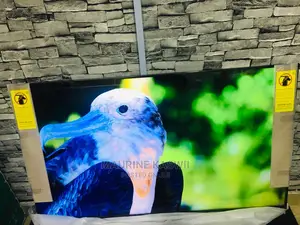 Synix 50 Inch Frameless