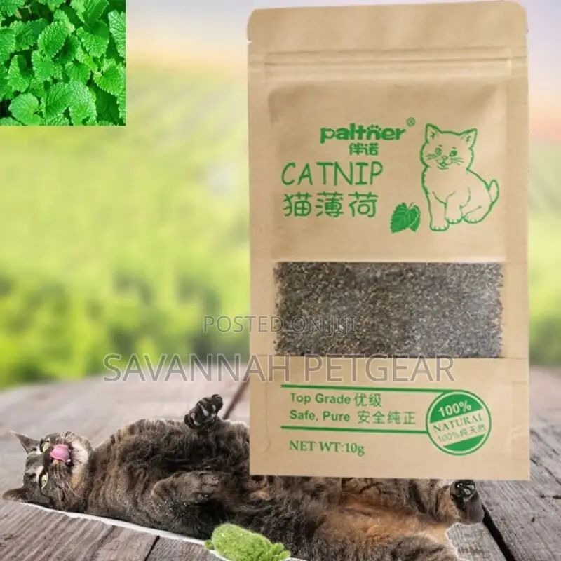 Paltner Top Grade Catnip