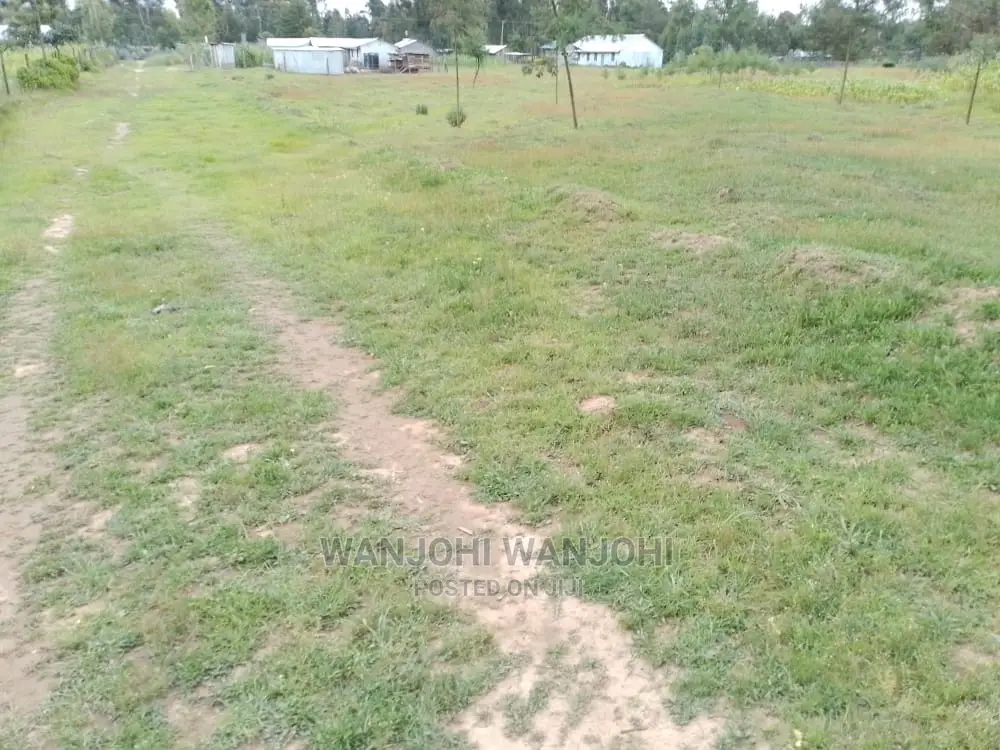 Very Prime Plots in Oljoroorok