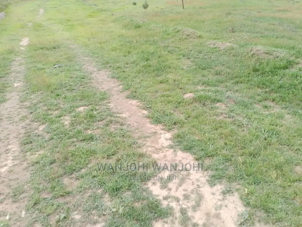 Very Prime Plots in Oljoroorok